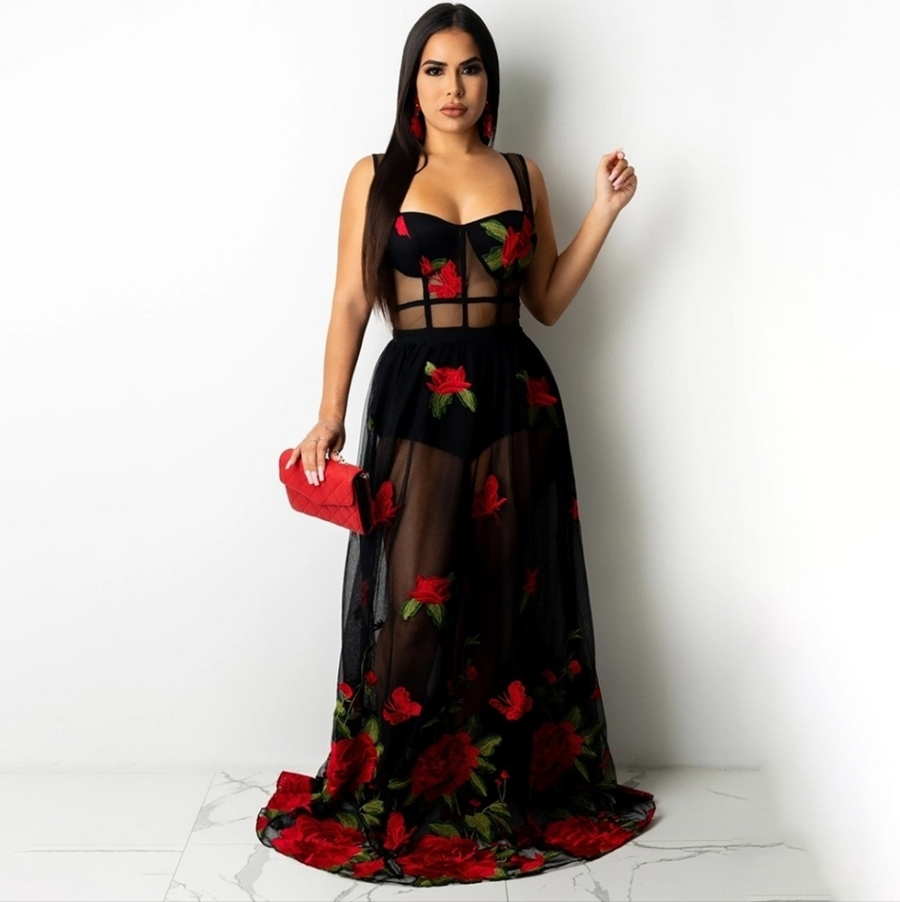 Embroidered Rose Mesh Dress